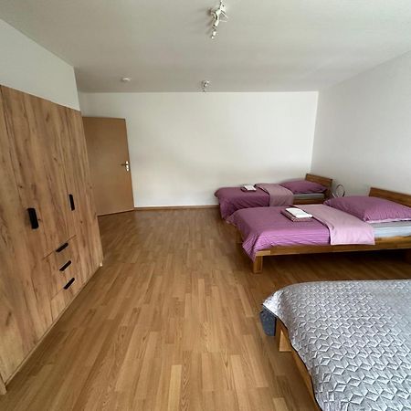 Grosses Apartment Im Dg ライプツィヒ エクステリア 写真