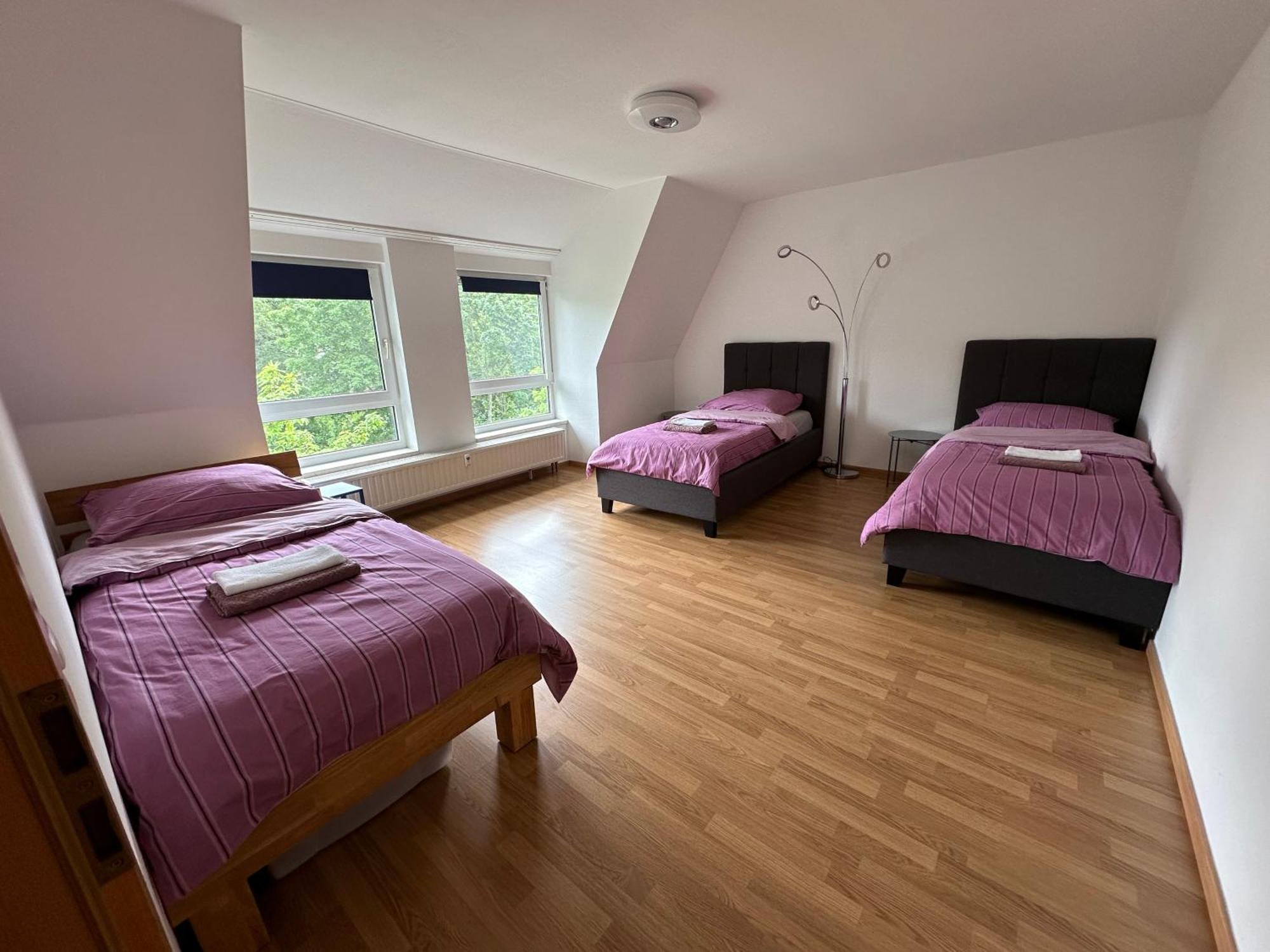Grosses Apartment Im Dg ライプツィヒ エクステリア 写真