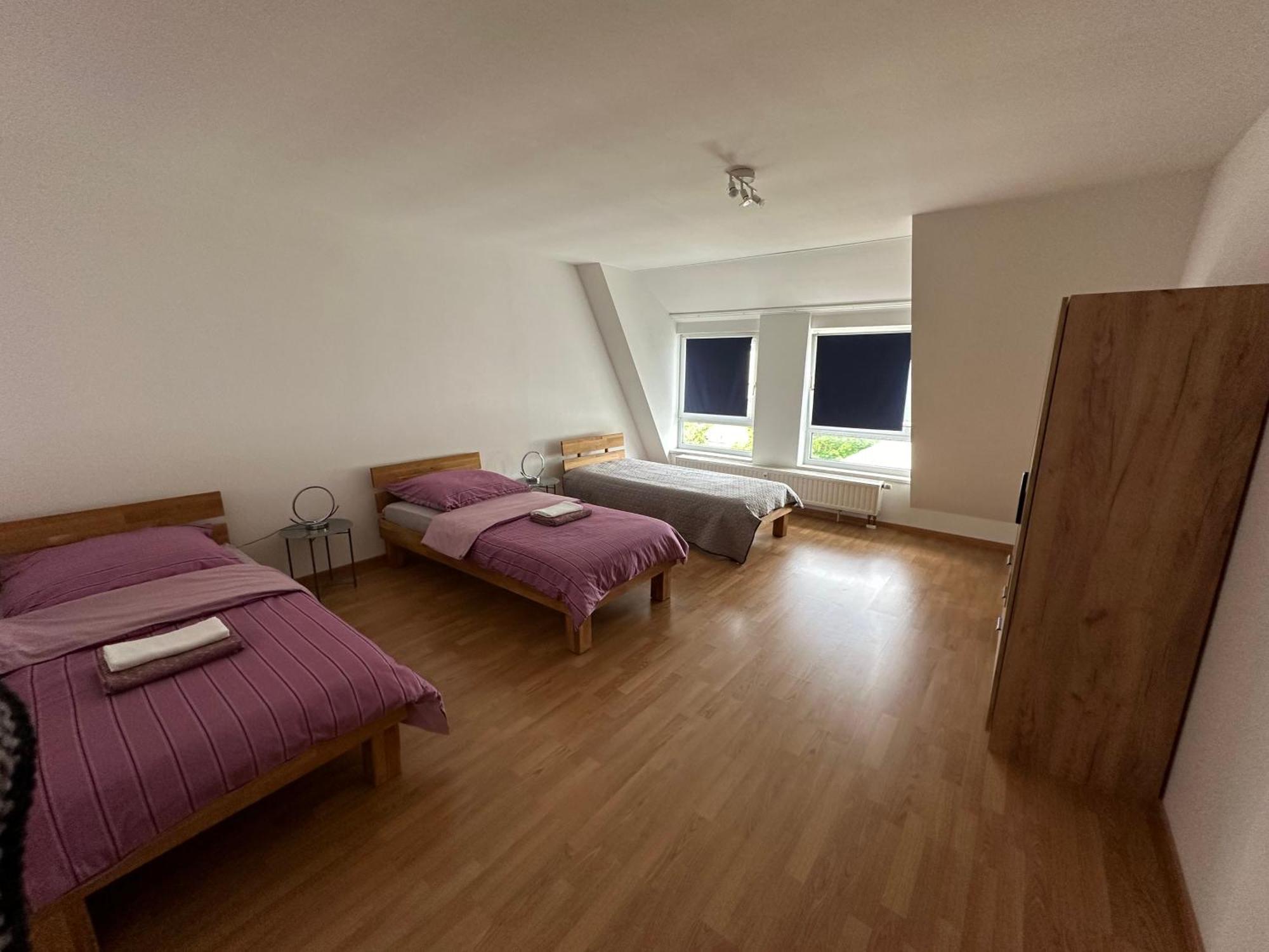 Grosses Apartment Im Dg ライプツィヒ エクステリア 写真